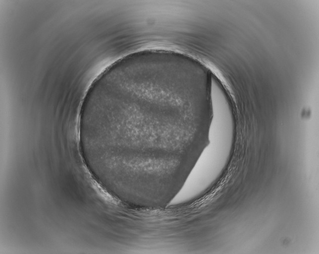 X0000090760791200708101746