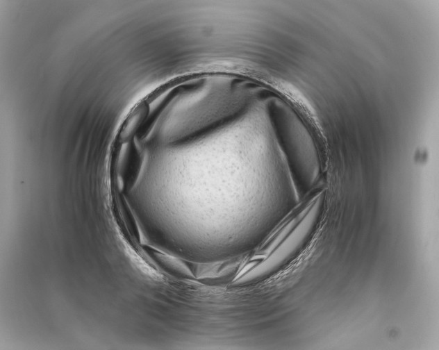 X0000090760792200708101746