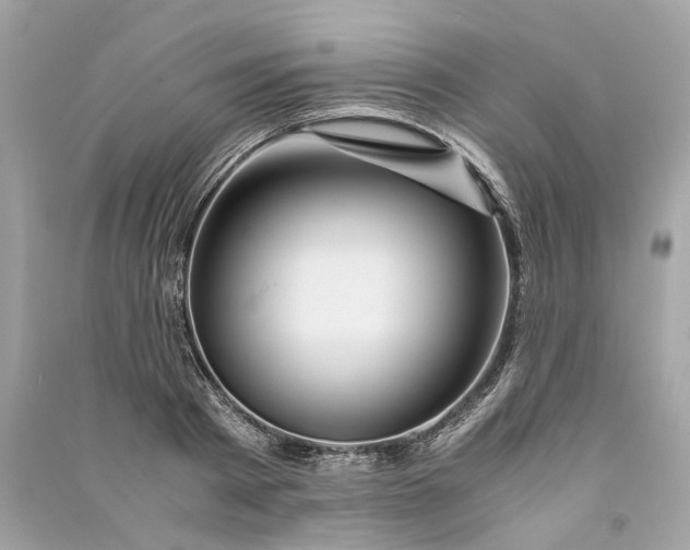 X0000090760793200708101746