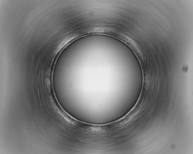 X0000090760794200708101746