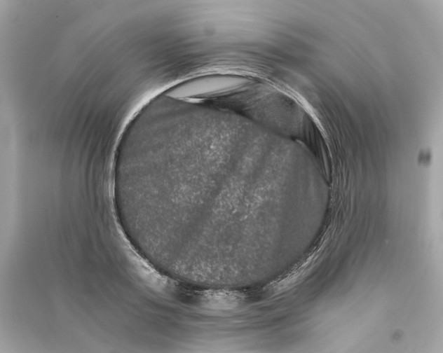 X0000090760795200708101746