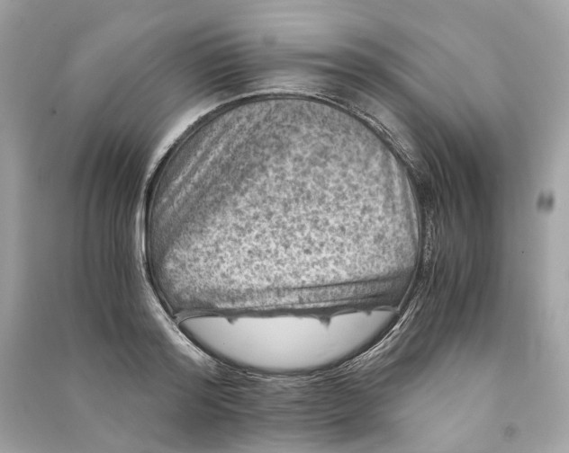 X0000090760796200708101746