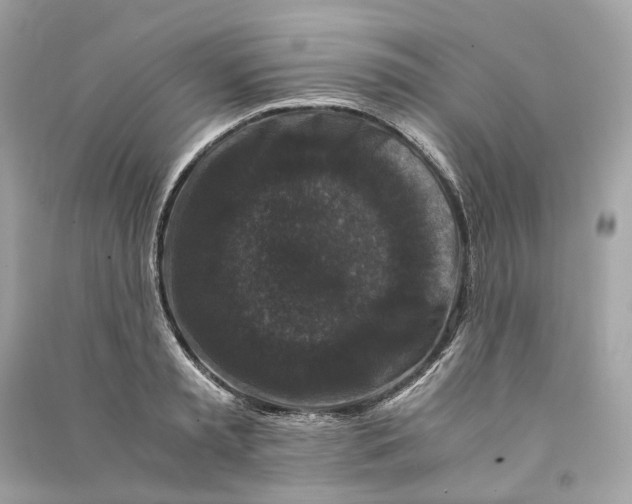 X0000090760797200708101746