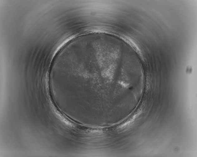 X0000090760798200708101746