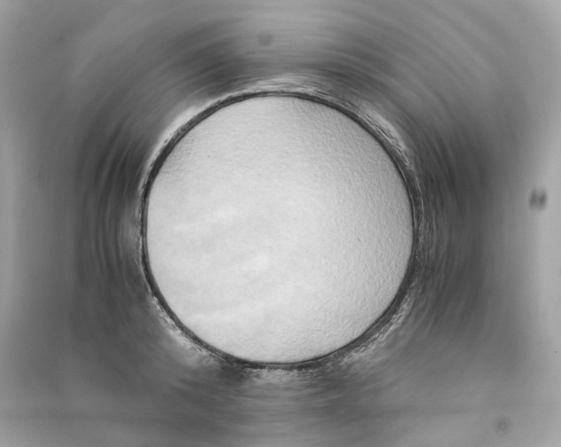 X0000090760800200708101746