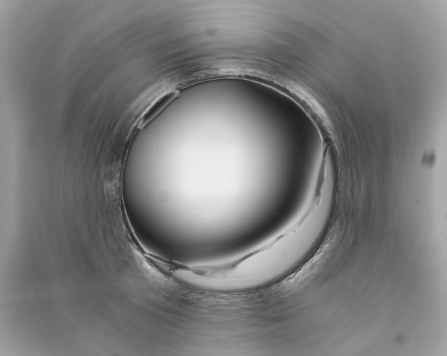 X0000090760801200708101746