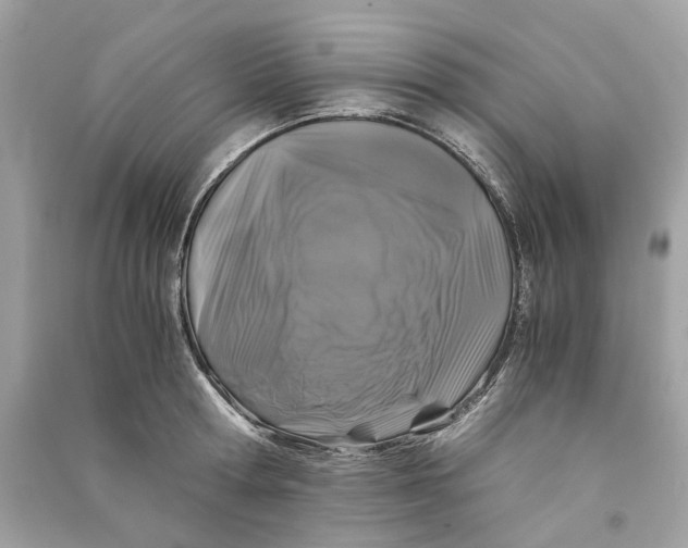 X0000090760802200708101746