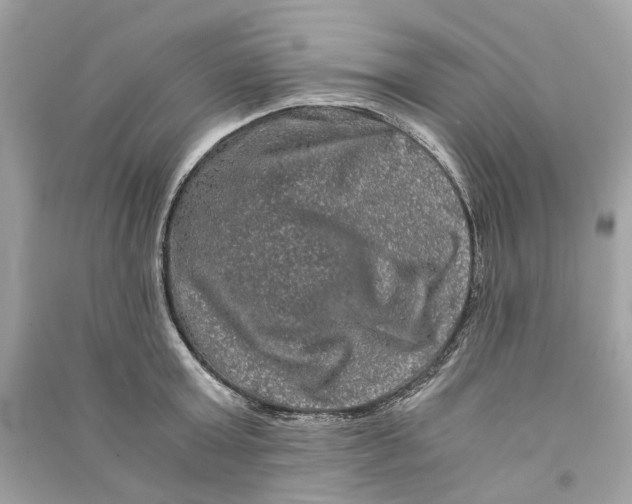 X0000090760803200708101746