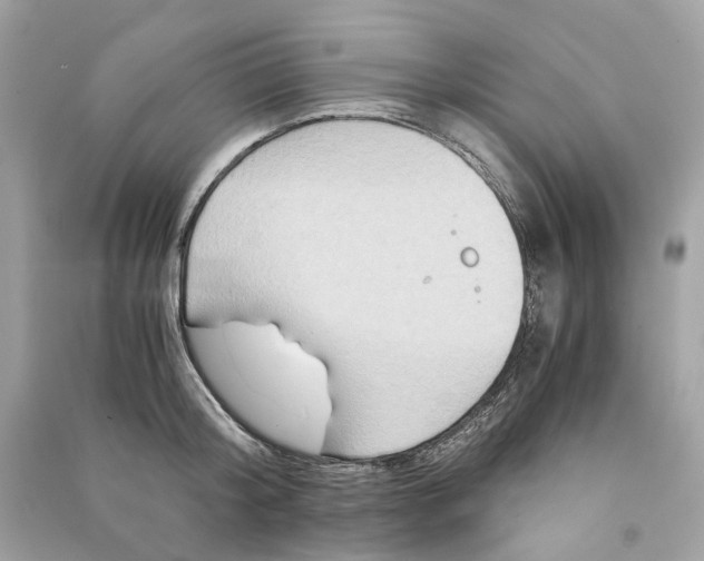 X0000090760804200708101746