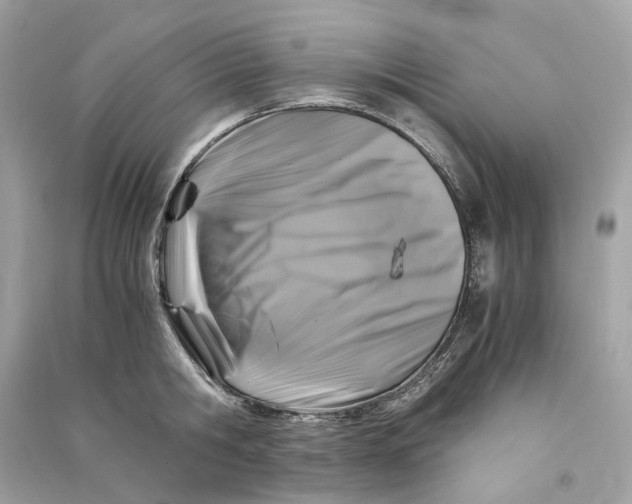 X0000090760806200708101746