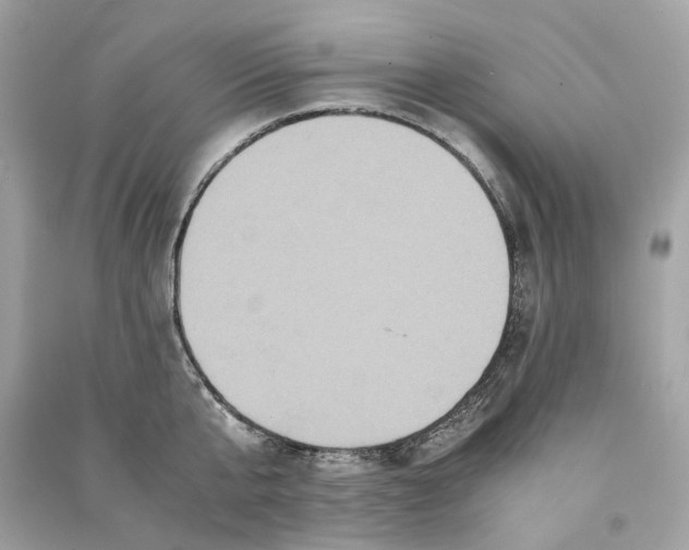 X0000090760807200708101746