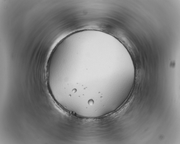 X0000090760808200708101746