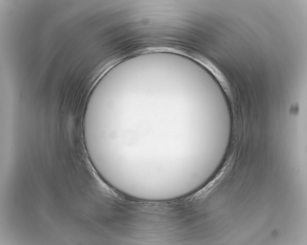 X0000090760809200708101746