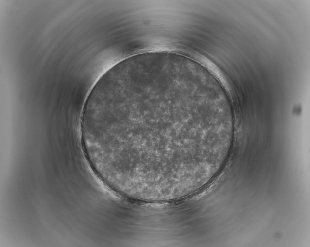 X0000090760810200708101746