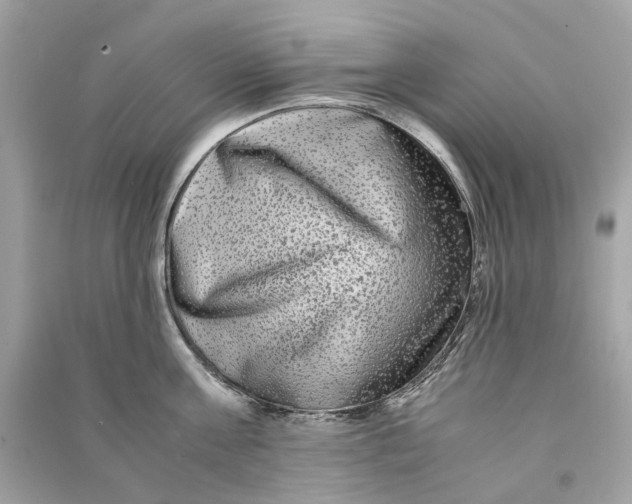 X0000090760811200708101746