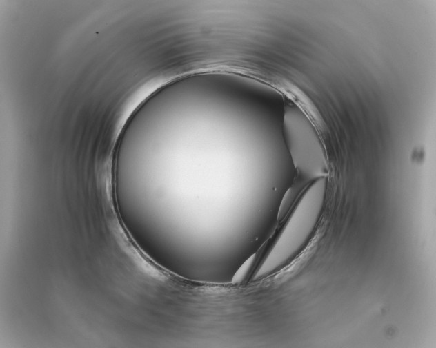 X0000090760812200708101746