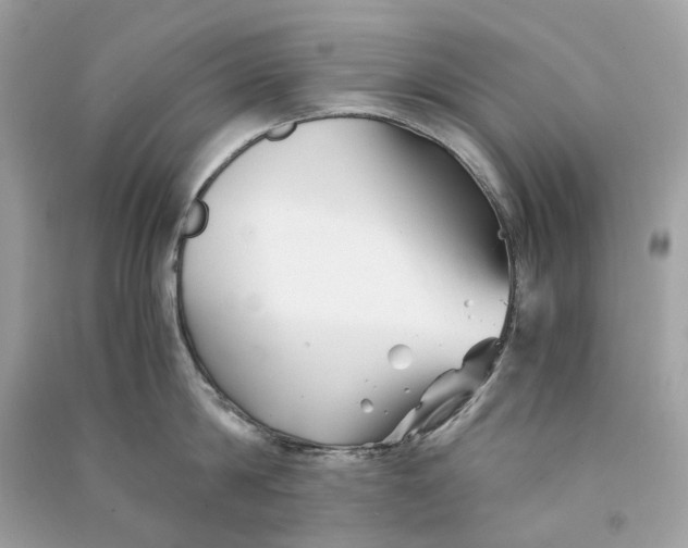 X0000090760814200708101746