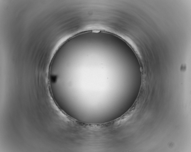 X0000090760815200708101746