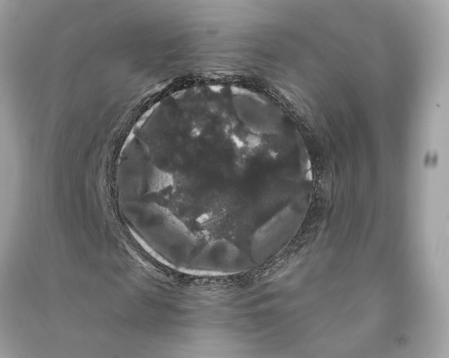 X0000090760817200708101745