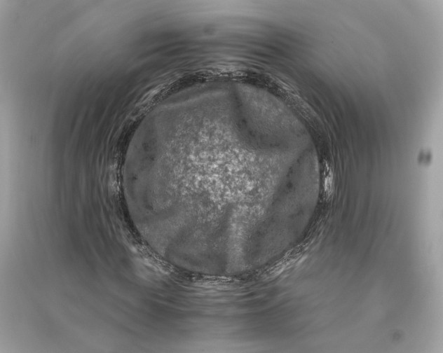 X0000090760819200708101745