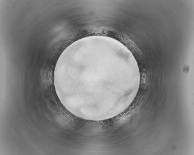 X0000090760820200708101745