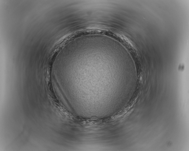 X0000090760821200708101745