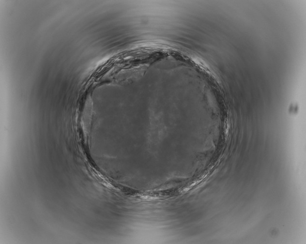 X0000090760822200708101745