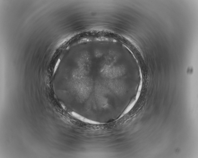 X0000090760823200708101745