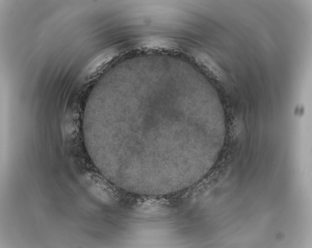 X0000090760824200708101745