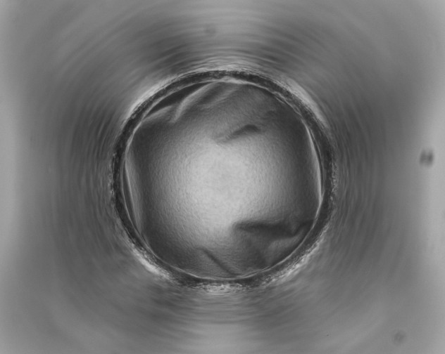 X0000090760826200708101745