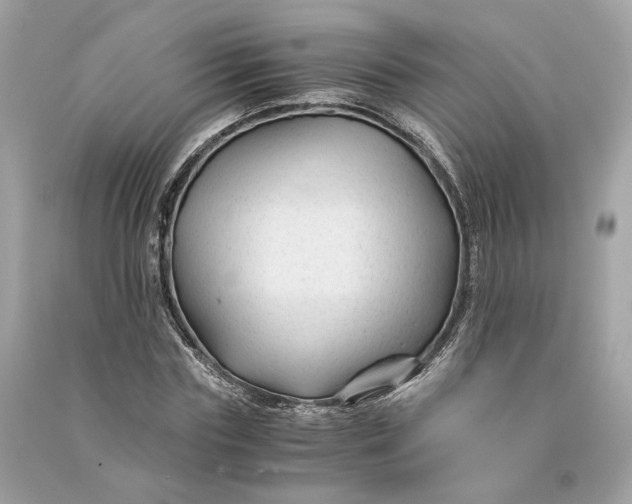 X0000090760827200708101745