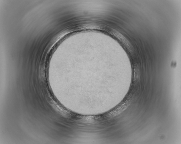 X0000090760828200708101745