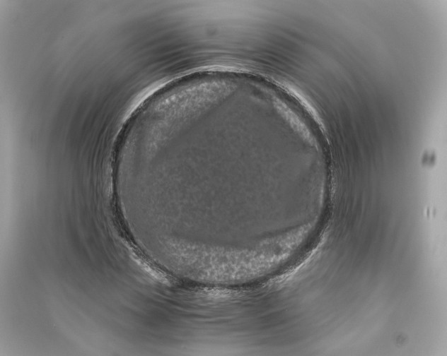 X0000090760829200708101745