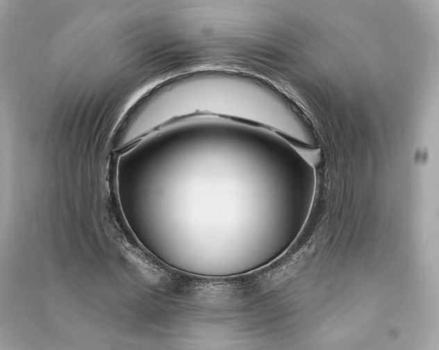 X0000090760830200708101745