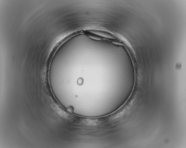 X0000090760831200708101745