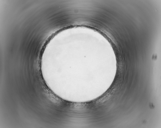 X0000090760832200708101745