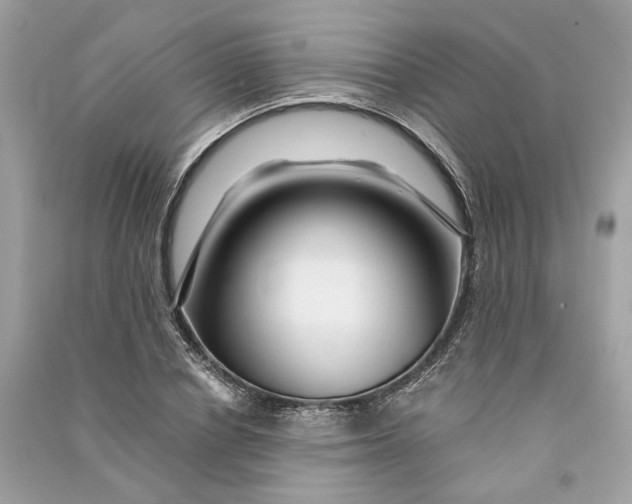 X0000090760834200708101745