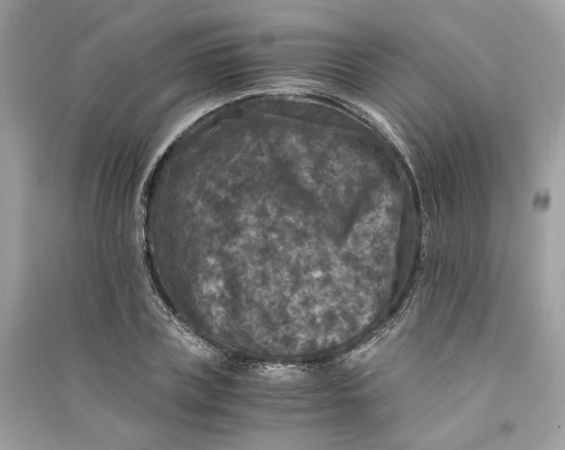 X0000090760835200708101745