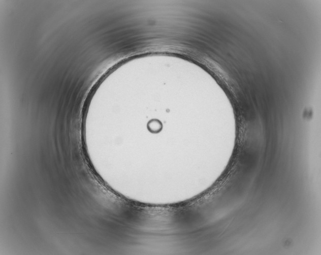 X0000090760836200708101745