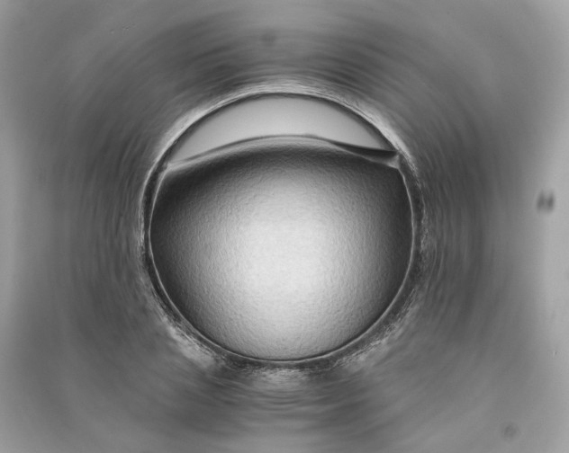 X0000090760837200708101745