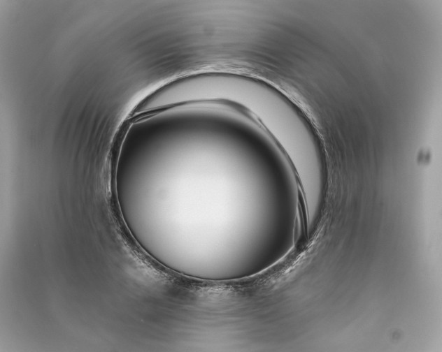 X0000090760838200708101745