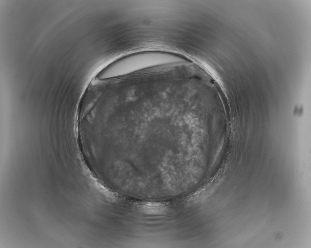 X0000090760839200708101745