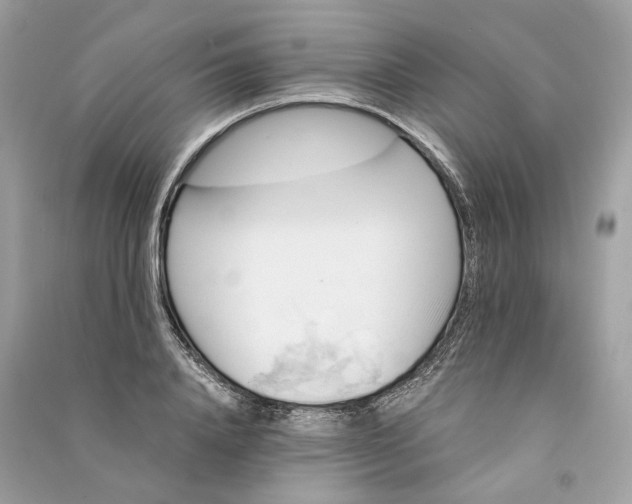 X0000090760840200708101745