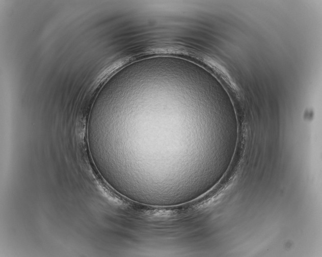 X0000090760841200708101745