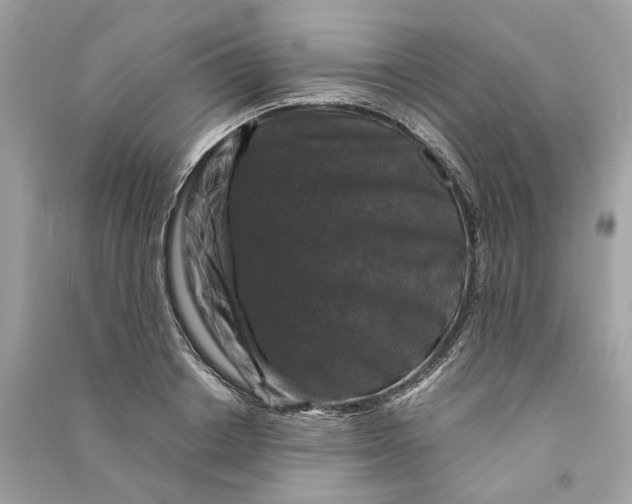 X0000090760842200708101745