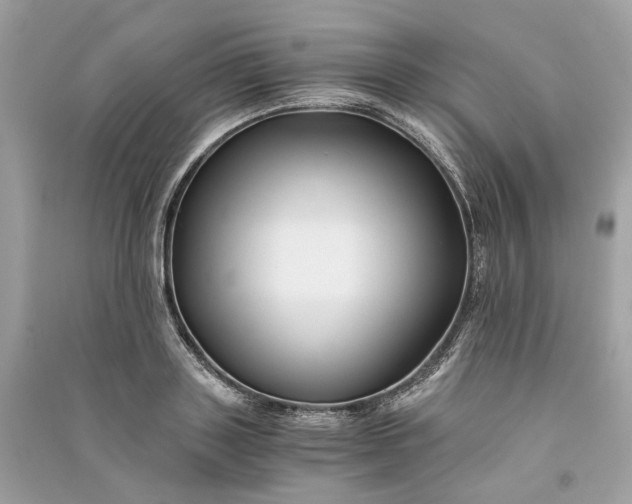 X0000090760843200708101745