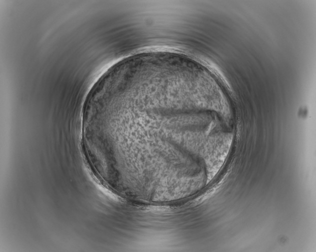 X0000090760844200708101745