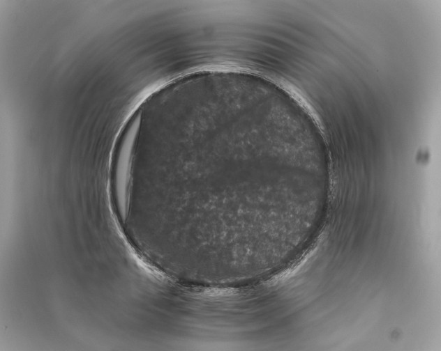 X0000090760845200708101745