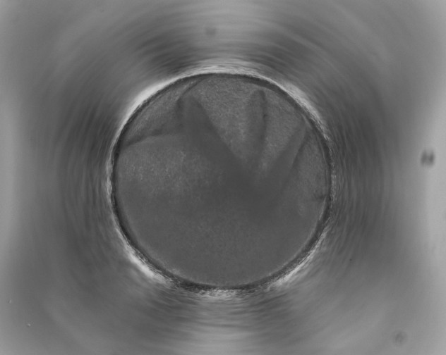 X0000090760846200708101745