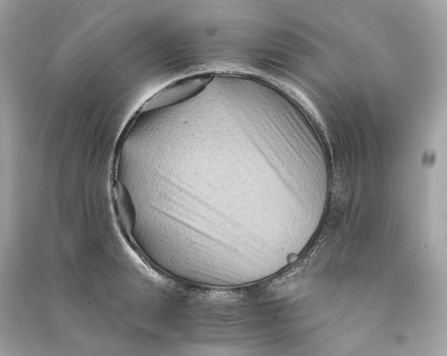 X0000090760847200708101745